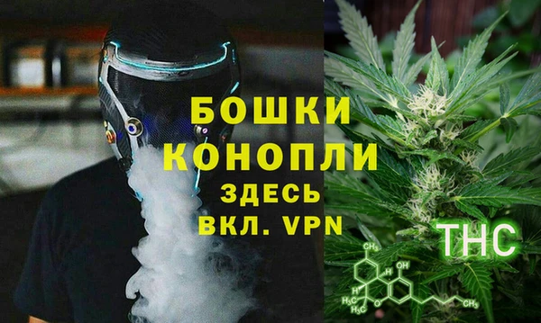 Альфа ПВП Аркадак