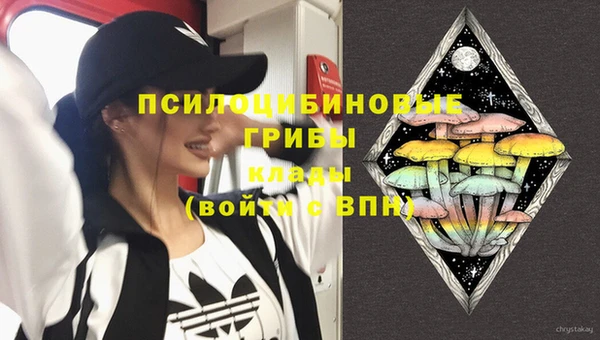 прущая мука Армянск