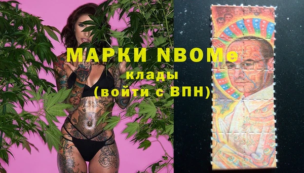 Альфа ПВП Аркадак