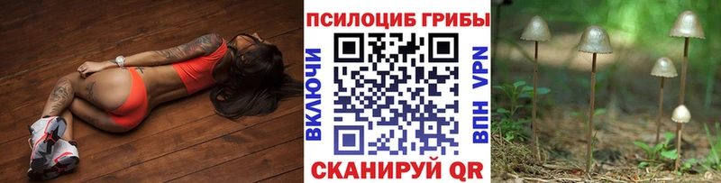 Купить закладки  Елабуга  Псилоцибиновые грибы ЛСД 