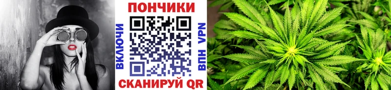Бошки марихуана семена  Купить где  Елабуга 